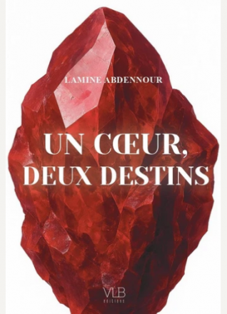 Un cœur, deux destins