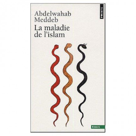 La Maladie de l'islam