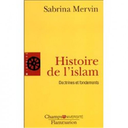 Histoire de l'islam