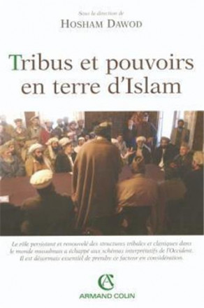 Tribus et pouvoirs en terre d'islam
