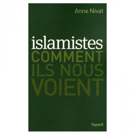 Islamistes : comment ils nous voient