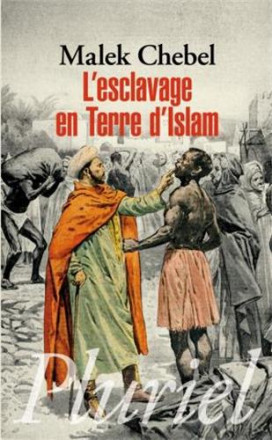 L'esclavage en terre d'islam