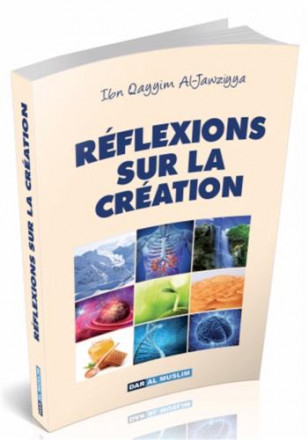 Réflexions sur la création