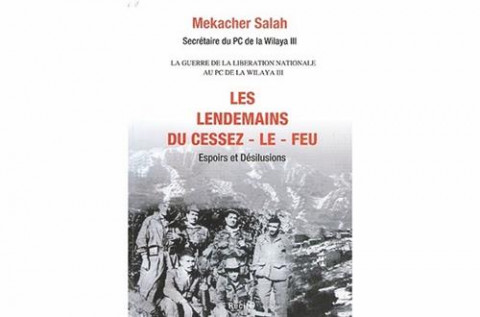 Les lendemains du cessez le feu : espoirs et désillusions
