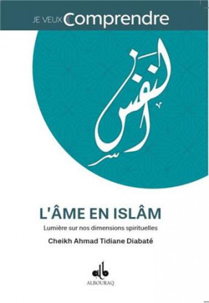 L'âme en islam: lumière sur nos dimensions spirituelles