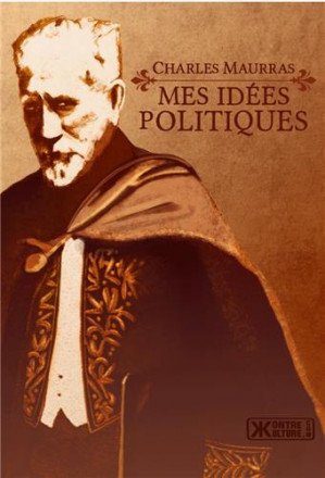 Mes idées politiques