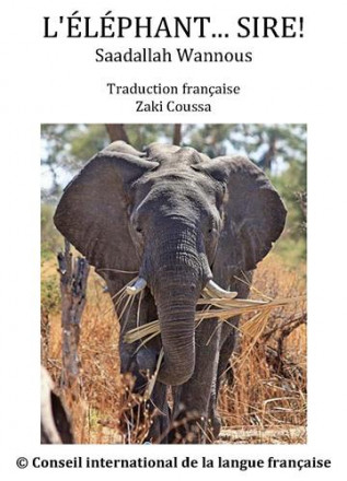 L'éléphant sire! (traduction de : al fil ya malek al zaman)
