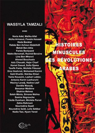 Histoires minuscules des révolutions arabes