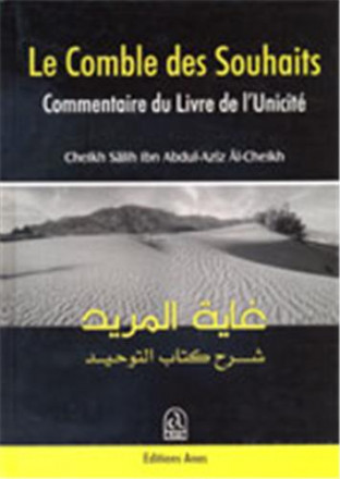 Le comble des souhaits le résumé du commentaire de l'unicité