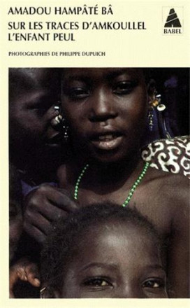 Sur les traces d'Amkoullel, l'enfant peul Babel 452