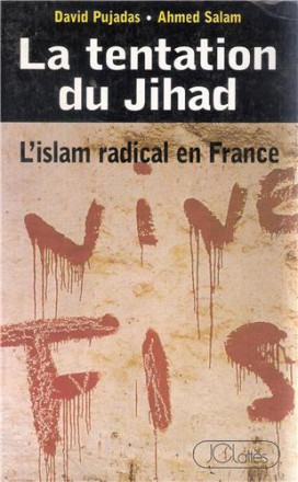 Tentation du jihad ; l'islam radical en France