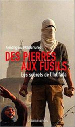 Des pierres aux fusils