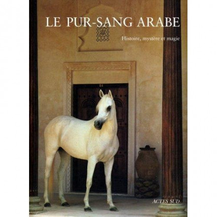 Le pur sang arabe