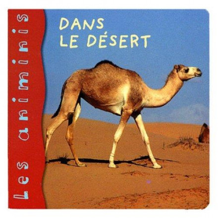 Dans le désert