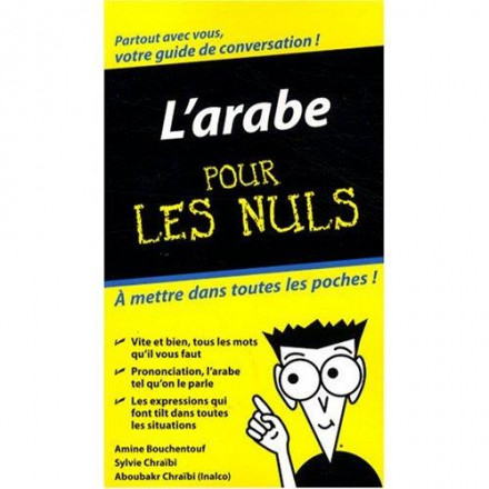 Arabe pour les nuls guide de conversation