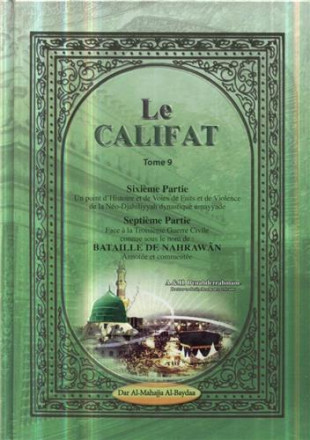 Califat tome 9: sixième partie un point d'histoire et de voies de faits et de violence de la néo djahiliyyah dynastique ummayyade
