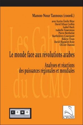Le monde face aux révolutions arabes