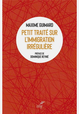 Petit traité sur l'immigration irrégulière