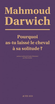 Pourquoi as tu laisse le cheval à sa solitude ?